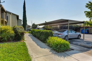 Carport parking 